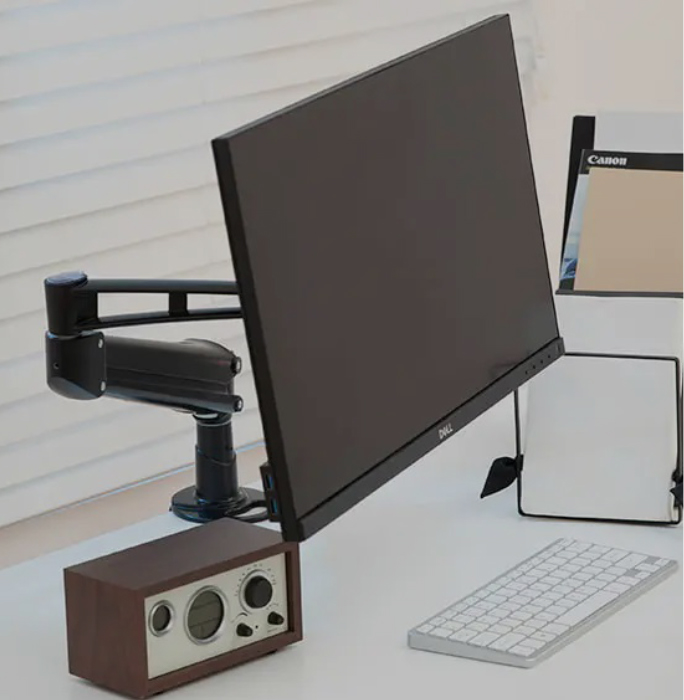 RAMENO LCD MONITORA